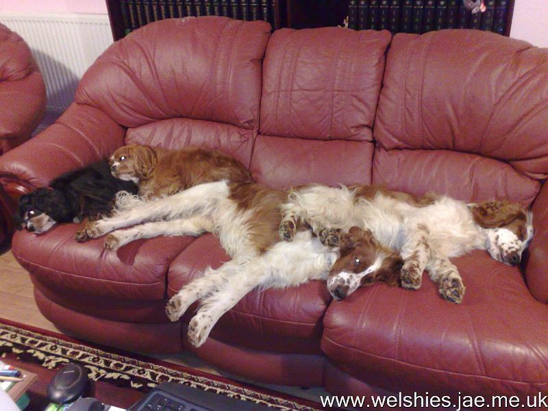 2009-12-27 03.jpg - Just about room for all of us